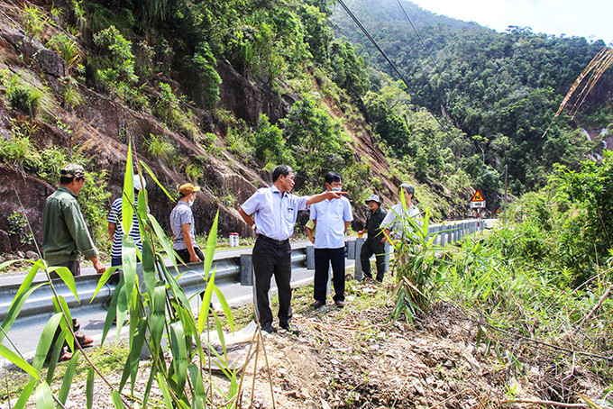 Lãnh đạo Sở Nông nghiệp và Phát triển nông thôn kiểm tra, chỉ đạo công tác bảo vệ rừng dọc tuyến đường đèo Khánh Lê - Lâm Đồng.