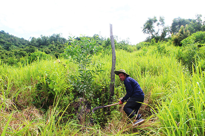 Các ngành chức năng huyện Vạn Ninh cần sớm giải quyết cấp sổ thửa đất cho gia đình ông Nguyễn Phong Thành.