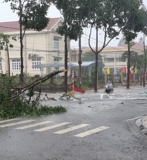 Mưa đá, lốc xoáy làm gãy đổ cây xanh ở huyện Khánh Sơn