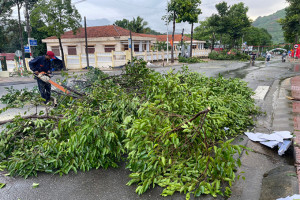 VIDEO: Mưa đá, lốc xoáy làm gãy đổ cây xanh ở huyện Khánh Sơn