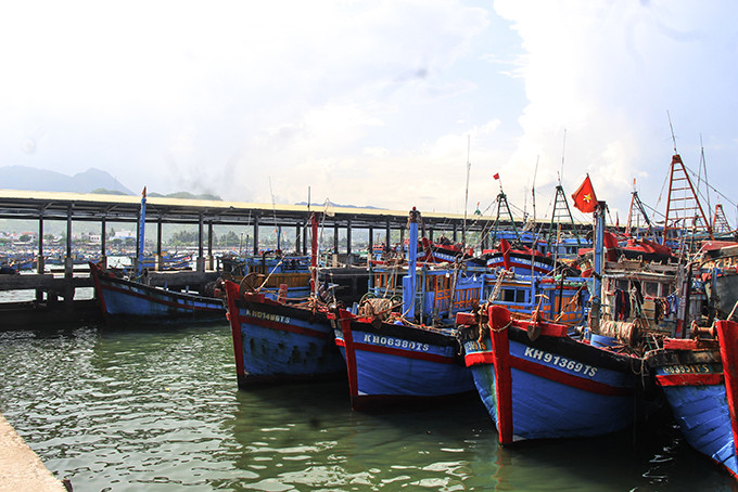 Nhiều tàu cá neo lại cảng Vĩnh Lương do hoạt động thua lỗ. 