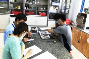 Viện Nuôi trồng thủy sản - Trường Đại học Nha Trang: Chú trọng nghiên cứu khoa học trong sinh viên