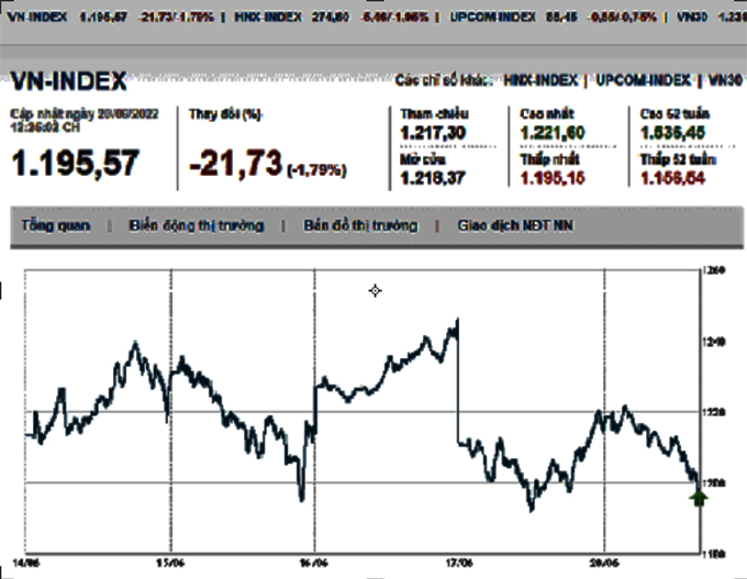 Thị trường chứng khoán 20/6/2022: Giảm sâu, VN-Index mất mốc 1.200 điểm