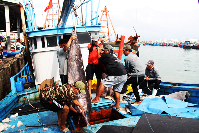 Gỡ &quot;thẻ vàng&quot; của EC: Còn nhiều khó khăn