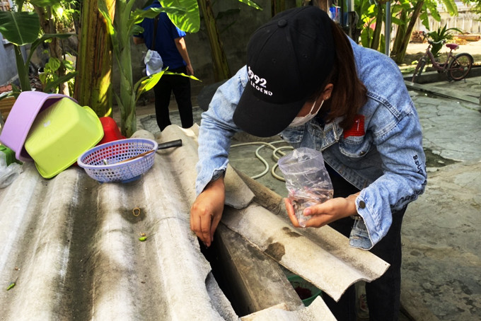 Đoàn viên, thanh niên xã Ninh Phước bỏ cá vào bể chứa nước  phòng bệnh sốt xuất huyết cho người dân. 