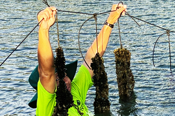 Hỗ trợ Ninh Hòa xây dựng đề tài khoa học và công nghệ