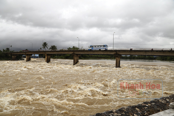Nước sông Cái Nha Trang dâng nhanh khi mưa lớn kéo dài.