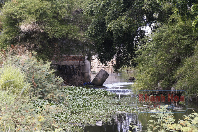 Một nhánh sông Cầu Bè đoạn qua xã Vĩnh Thạnh bị chiếm dụng gây hẹp dòng chảy.
