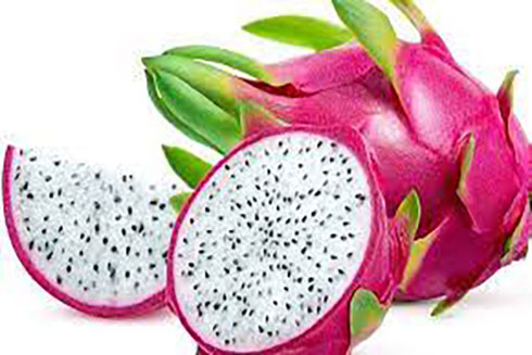 Chữa rôm sẩy từ cây thanh long