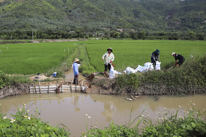 Sẽ đề xuất đầu tư nâng cấp tuyến kênh Cầu Đôi - Suối Dầu