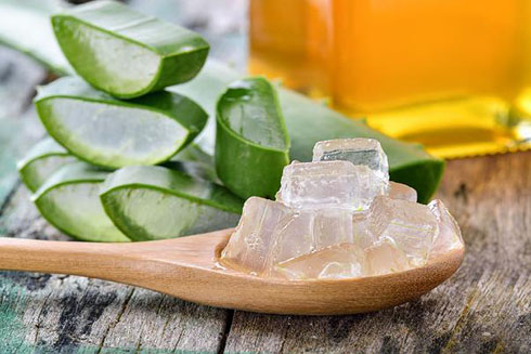 3 lưu ý cần biết khi dùng lô hội