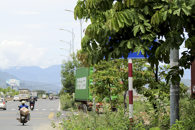 Biển báo giao thông bị che khuất