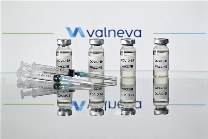 Hình ảnh minh họa vaccine ngừa COVID-19 và biểu tượng của Công ty dược Valneva. Ảnh: AFP/TTXVN