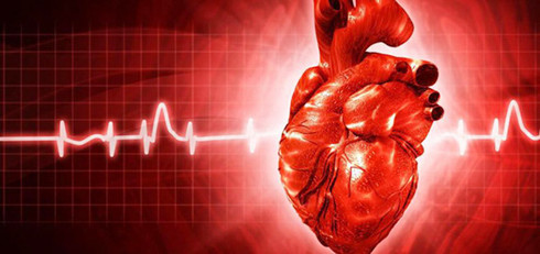  Một trong những nguyên nhân gây tử vong lớn nhất trên thế giới là bệnh tim 