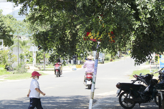 Nhiều biển báo giao thông bị che khuất