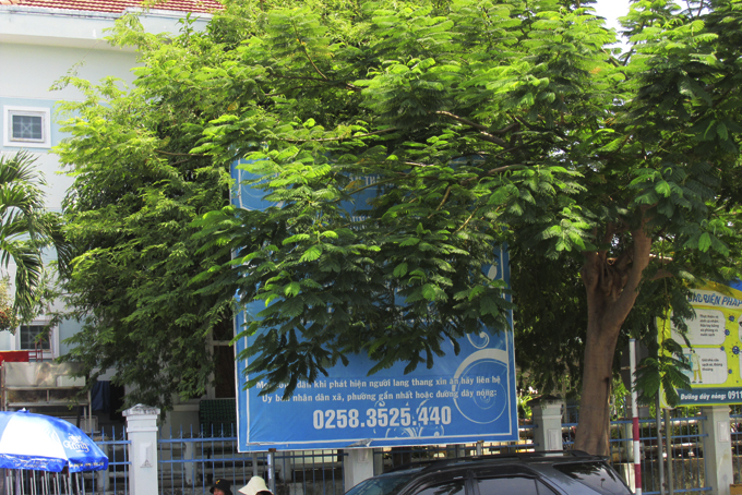 Pa nô tuyên truyền bị tán cây che phủ