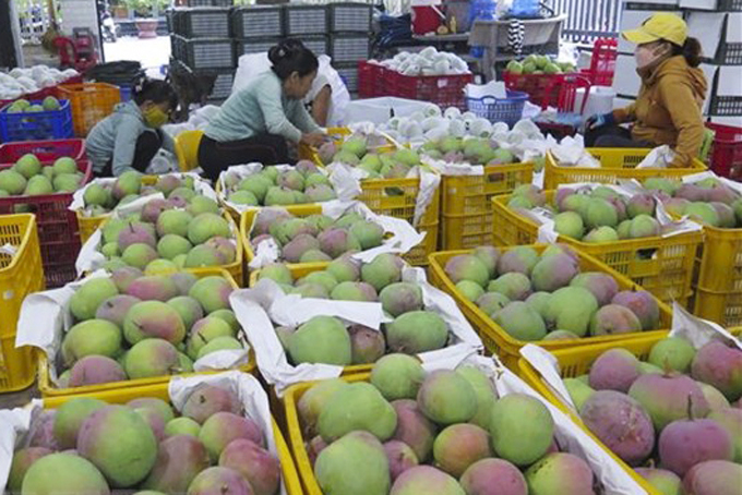 Đẩy mạnh truy xuất nguồn gốc sản phẩm