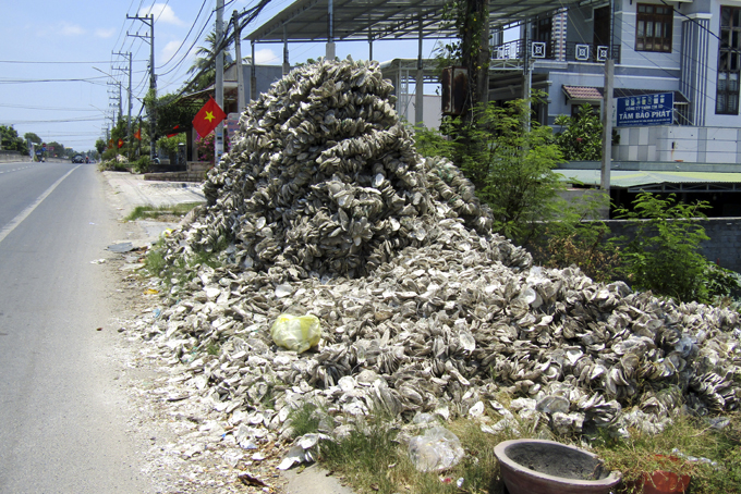 Vỏ sò, ốc chiếm hành lang đường bộ