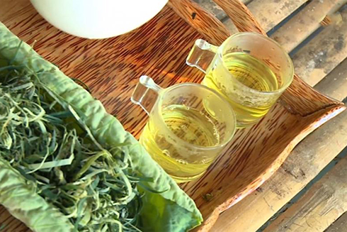 Những ai không nên uống nước lá sen?