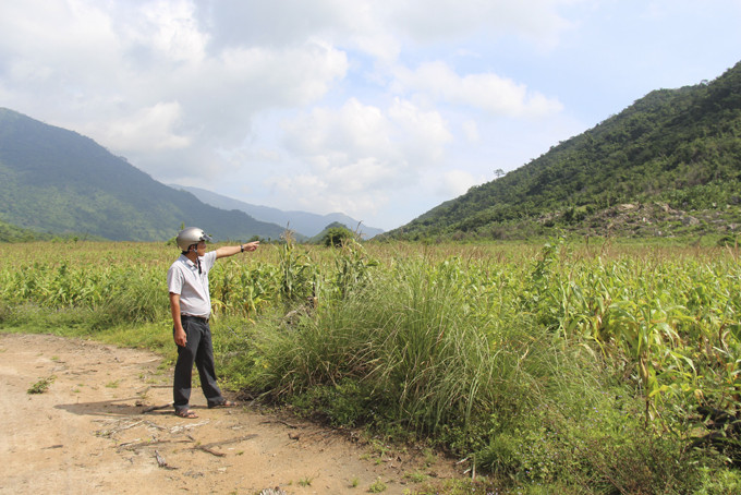 Một diện tích đất quy hoạch chức năng trồng rừng sản xuất của Ban quản lý rừng phòng hộ Bắc Khánh Hòa tại huyện Vạn Ninh bị người dân xâm canh.