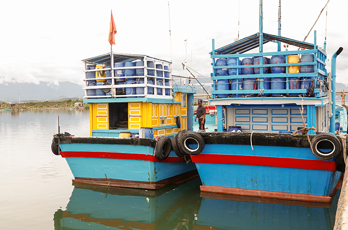 Tàu thuyền neo đậu an toàn tại Khu neo đậu tránh trú bão Ninh Hải, Ninh Hòa