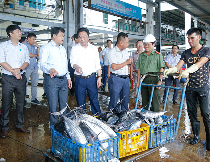 Kiểm tra công tác ứng phó bão số 4 tại TP. Nha Trang