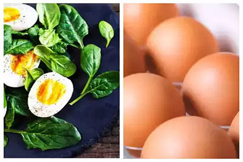 Ăn trứng luộc rất tốt cho sức khỏe. Ảnh: SHUTTERSTOCK