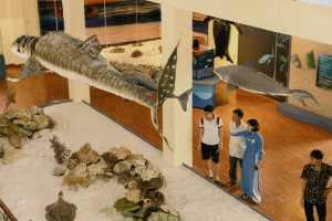 Viện Hải dương học: Nét mới trong trưng bày đa dạng sinh học biển