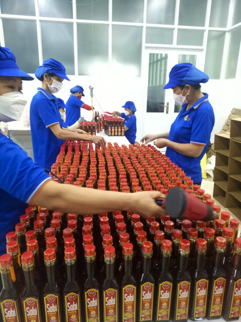 Sản xuất các mặt hàng thực phẩm sạch  tại thôn Đại Cát, xã Ninh Phụng, thị xã Ninh Hòa. 