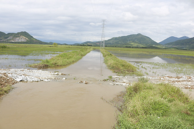 Thi công đường tạm đặt cống dưới kênh thoát lũ  liên xã Diên Sơn - Diên Điền - Diên Phú. 