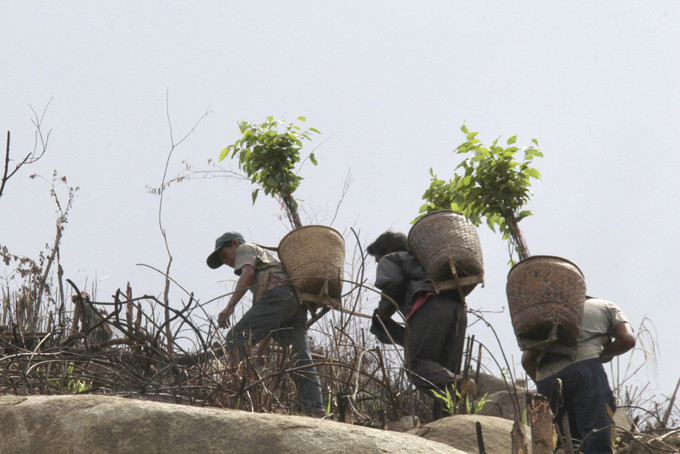 Người dân xã Khánh Thượng gùi cây giống đi trồng rừng