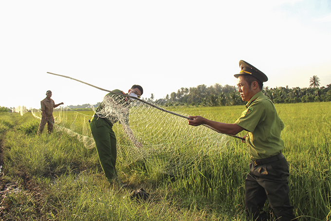 Ngăn chặn tận diệt chim trời