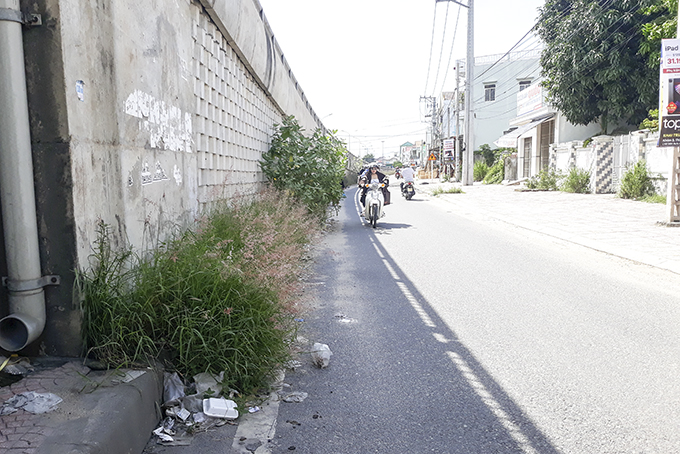 Cần phát quang cây cỏ dại