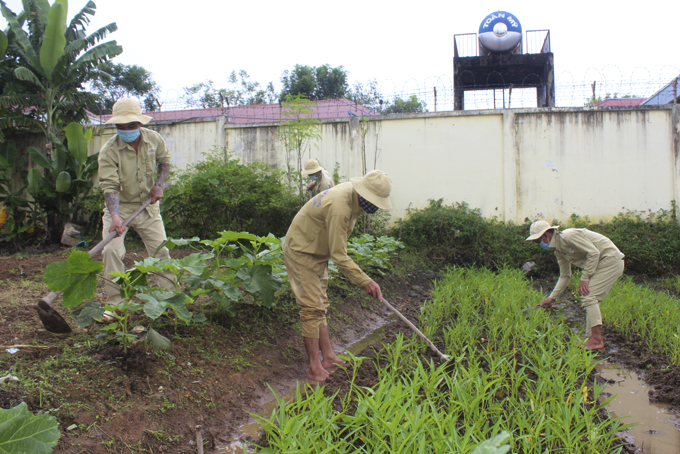 Công tác cai nghiện ma túy và quản lý sau cai: Những kết quả tích cực