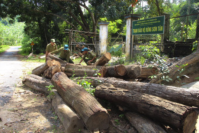 Giữ rừng Sơn Tân