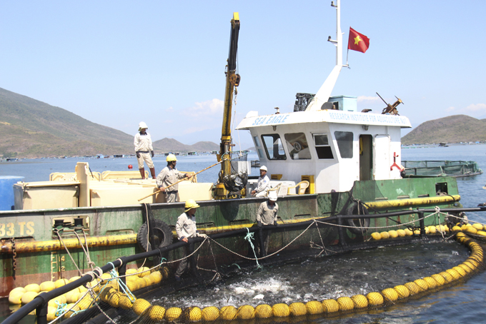 Ứng dụng công nghệ trong nuôi biển