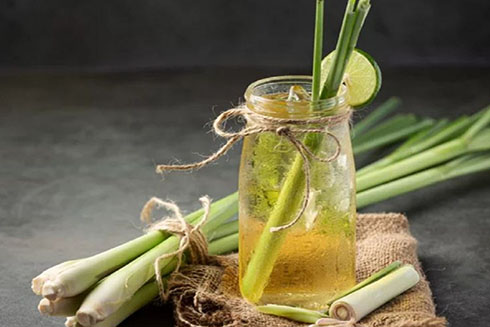 Lợi ích bất ngờ của trà sả được khoa học chứng minh