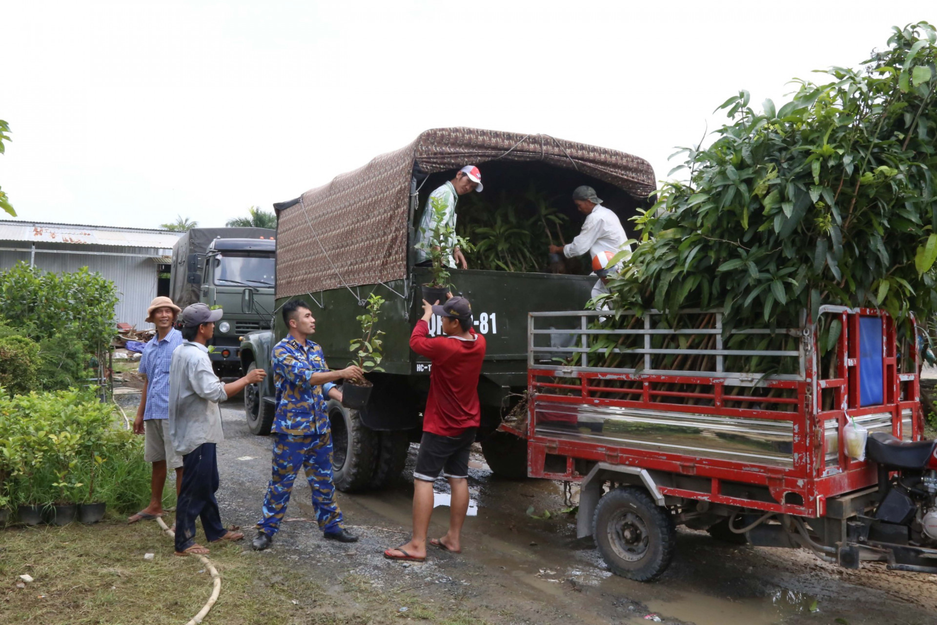 Vùng 4 Hải quân tiếp nhận các cây giống