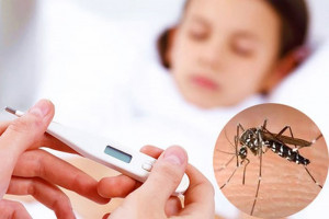 Tăng cường phòng, chống dịch do vi rút Zika, sốt xuất huyết
