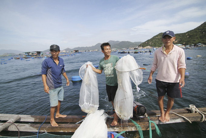 Người dân nuôi trồng thủy sản ở Bình Ba (xã Cam Bình, Cam Ranh).