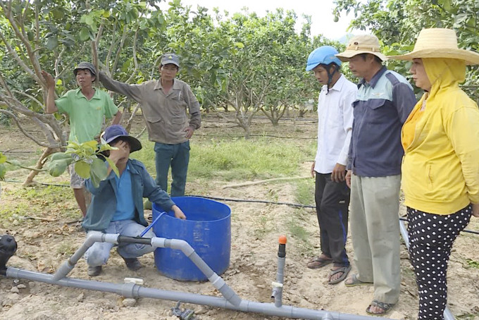 Triển khai mô hình tưới tiết kiệm nước tại xã Diên Xuân, huyện Diên Khánh. 