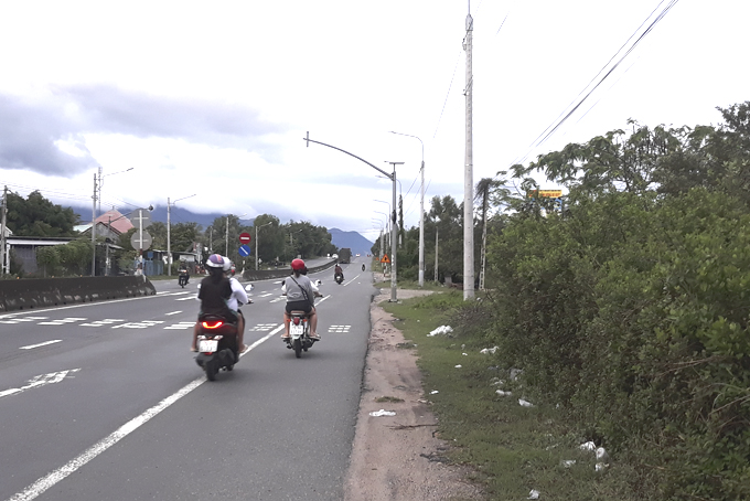 Biển báo bị cây xanh che khuất