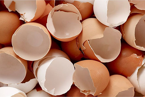 Cách tận dụng vỏ trứng tuyệt vời có thể chị em chưa biết