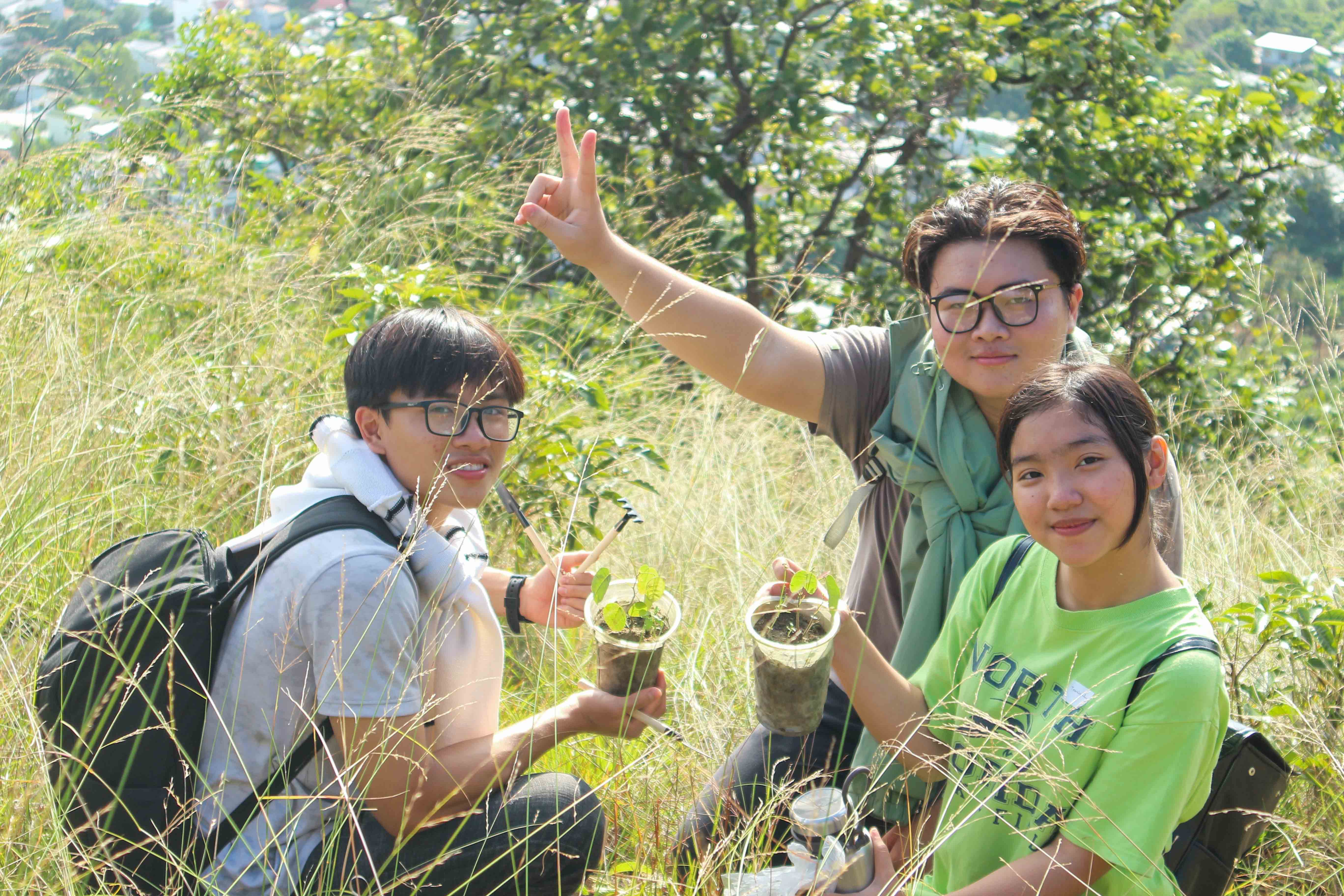 Các cây xanh được mang lên trồng trên núi Cô Tiên