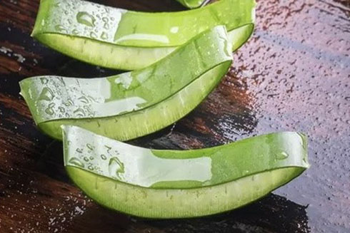 Dùng lô hội chăm sóc da khô, da bong tróc