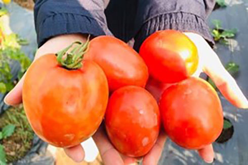 3 loại thực phẩm giúp lợi tiểu và bài tiết axit uric