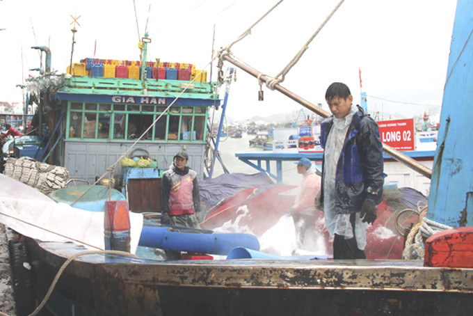 Ngư dân chuẩn bị nhu yếu phẩm, đá lạnh cho chuyến biển xuyên Tết.