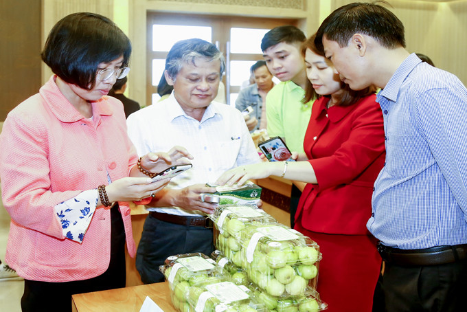Sản phẩm táo Cam Thành Nam tham gia Chương trình OCOP cấp tỉnh năm 2022.