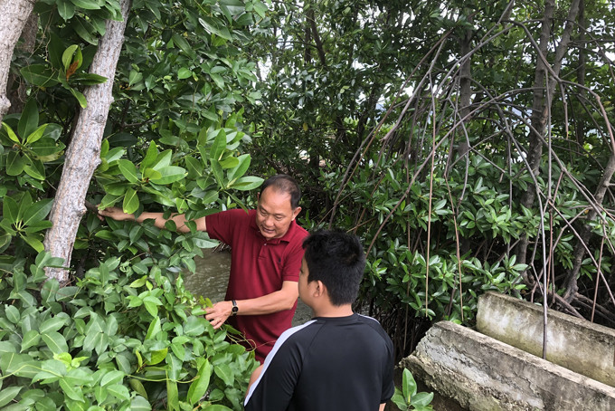  Ông Nguyễn Tấn Tài dạy cho con những kiến thức về cây đước
