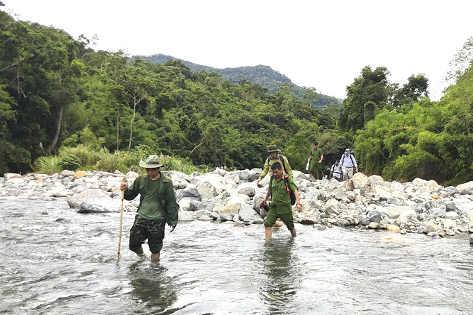 Lực lượng của Ban Quản lý Rừng phòng hộ Nam Khánh Hòa phối hợp với các lực lượng của huyện Khánh Sơn  kiểm tra rừng khu vực thượng nguồn xã Thành Sơn. (Ảnh do đơn vị cung cấp)